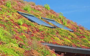 Susworth living roof systems